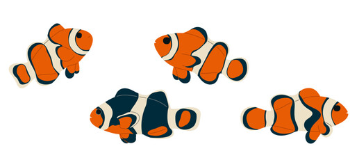 Anemonefish 2 cute on white background, vector illustration. 