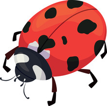 Ladybug Red Black Spotted Insect With Paws And Antennae Bright Color Character Vector Flat