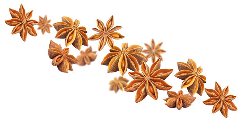 Wall Mural - Flying star anise cut out
