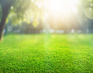 natural grass background