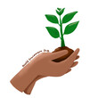 © Aranya - hand holding plant world Environment Day