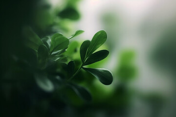 Close up of green leaves. Macro green leaves background image with soft focus. Copy space. AI generative