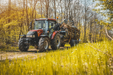 Wall Mural - Forwarder tractor for wood transport. Tractor with trailer loaded with logs. Forestry tractor or forestry tractor for harvesting wood in the forest. Spring forest.