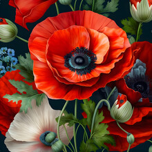 **seamless Texture Come Out From The Red Poppyseed Flower And Poppy
