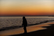 © irakli - boy walking on the beach at sunset