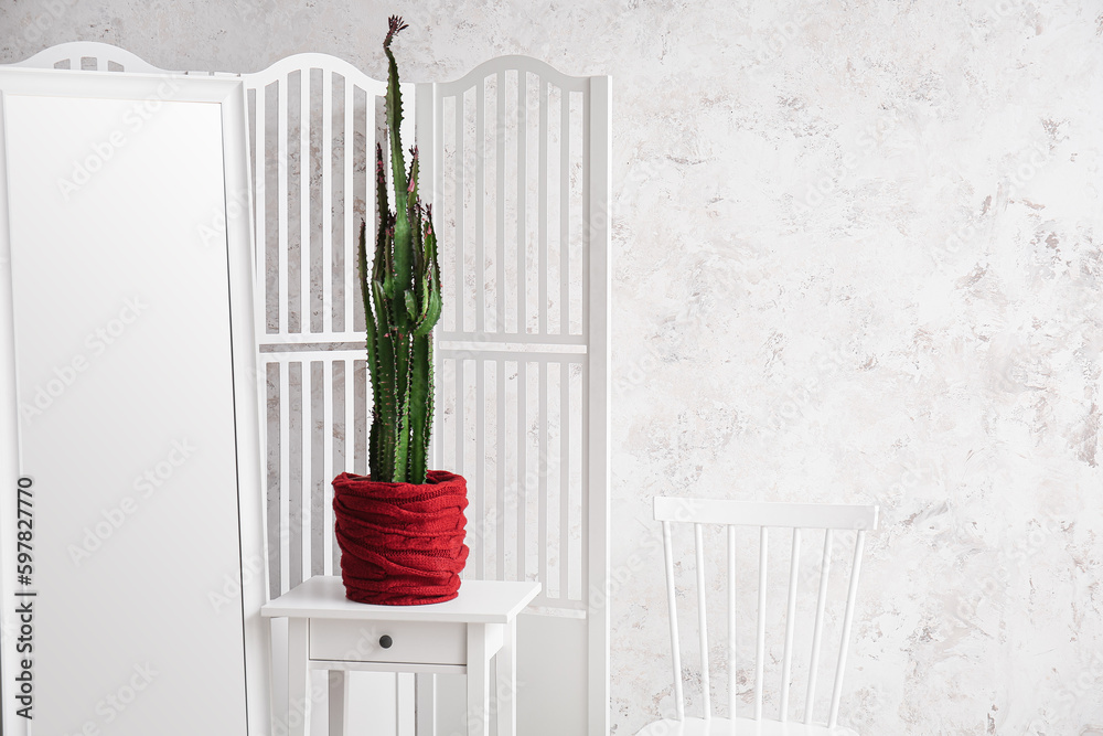 Big cactus on table, mirror, chair and folding screen near white grunge wall
