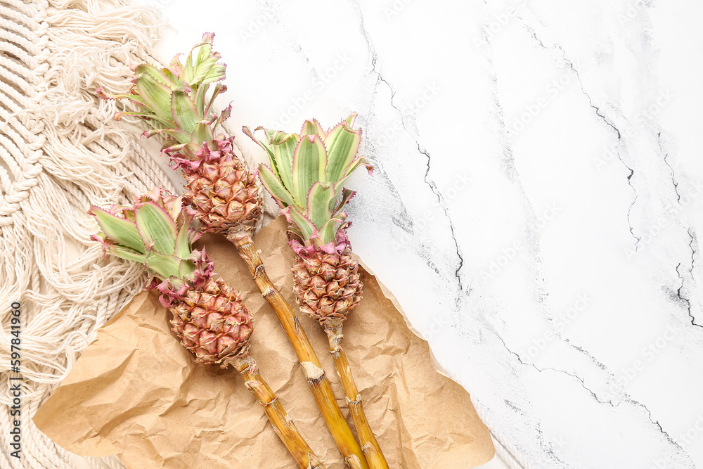Decorative pineapples with crumpled paper on grunge background