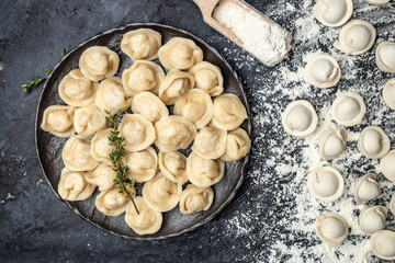 Canvas Print - Traditional pelmeni, ravioli, dumplings filled with meat on plate, homemade raw pastry dumplings with meat filling. baking background, banner, menu, recipe place for text, top view