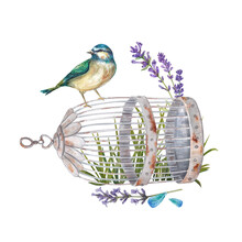A Bluebird Sits On A Vintage Birdcage Against A Background Of Grass And Flowers. Watercolor Illustration In The Provencal Style. Botanical Illustration. Suitable For Postcards, Design. Leaflets