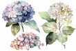 Watercolor floral bouquet of a blue, white and pink hydrangea with green blush leaves, for wedding invitations, greetings, wallpapers, fashion, prints. flowers. AI Generated	
