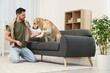 © New Africa - Cute Labrador Retriever giving paw to happy man at home. Space for text