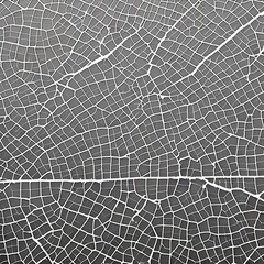  A cracked and broken texture with shattered ice and cracked pavement3, Generative AI