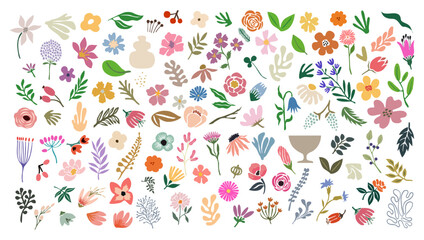 Wall Mural - Set of hand drawn floral design elements, abstract shapes. Wild and garden flowers, leaves, algae. Contemporary modern vector art illustrations in trendy danish pastel colors on transparent background