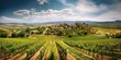 AI Generated. AI Generative. Vineyard at South France provence. WIne plant garden harvest. Romantic relax chill vibe. Graphic Art