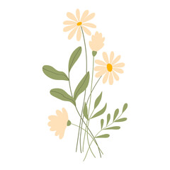 Wall Mural - Vector illustration of field grass, flower, dry in flat style, isolated on a white background