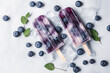Healthy ice popsicles with fresh blueberry fruits with ice. 
