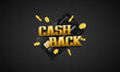 © Igor - Cash back. Promotion poster with credit card and golden coins. Vector template for your design.