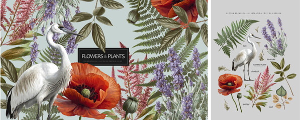 plants, flowers and bird. vector classic illustration of poppy, crane, lavender, fern, leaf and wild