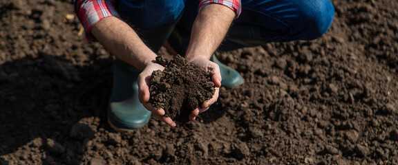 Wall Mural - Male farmer in the field checks the soil. Selective focus.