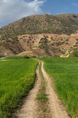 Wall Mural - Grasslands of Do Polan, Chaharmahal and Bakhtiari, Iran