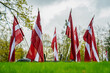 Latvian flags in summer in park