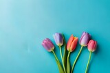 Fototapeta Tulipany - Top view multicolored spring tulips on pastel blue background with copy space