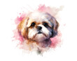shih tzu dog portrait watercolor