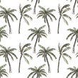 Tropical seamless pattern with  palm trees. Watercolor  print on white background. Summer hand drawn illustration