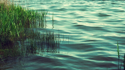 Sticker - Water surface with ripples and sunlight reflections. Beautiful lakescape as a natural background