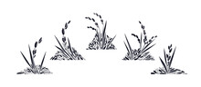 Rice Collection Vector Grains, Texture Plant Paddy