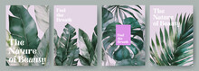 Tropical Summer Set Of Posters, Cards, Covers Or Banners With Green Tropical Leaves On Soft Pink Background. Exotic Botanical Design For Cosmetics, Spa, Perfume, Beauty Salon Or Wedding Invitation