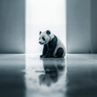 minimalist photography of a Panda