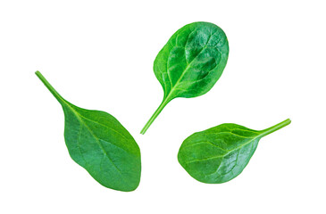 Wall Mural - Spinach leaves isolate on white background. Selective focus.