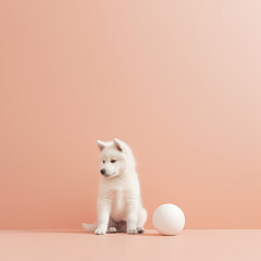 Cute dog. Set of funny pet animals isolated on colorful background. Generative AI.