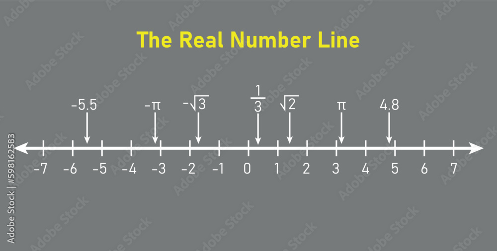 Representation of the real number line. Mathematics resources for teachers. Vector illustration isolated on white background.