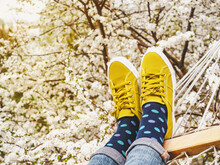 Trendy Sneakers And Colorful Socks On The Background Of Flowering Trees. Closeup, Outdoors. Men's And Women's Fashion Style. Beauty And Elegance Concept