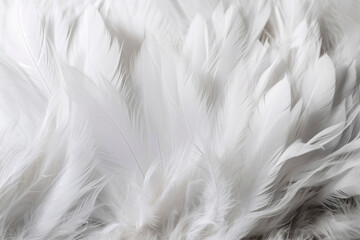 Dense background of white feathers. Close up texture of white swan feather or angel wing. Flat lay bird plumage. Copy space. High resolution. Generative AI, human enhanced