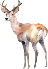 Aufkleber - Deer illustrations created with Generative AI technology