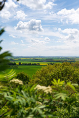 Wall Mural - Green and yellow farm fields with canola rapeseed in Skåne Sweden during spring