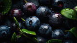Fototapeta Storczyk - Fresh ripe huckleberry with water drops background. Berries backdrop. Generative AI