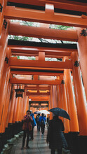 Kyoto, Japan In April 2019. Tourists Taking Pictures And Walking In The Fushimi Inari Area Of Kyoto.