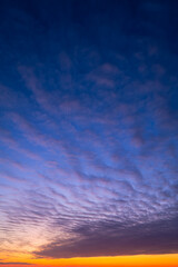 Wall Mural - Sky with clouds during sunset. Clouds and blue sky. A high resolution photograph. Panoramic photo for design and background.