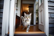 Excited and happy cat at home door entrance greeting the arrival of her master. Created with Generative AI technology.