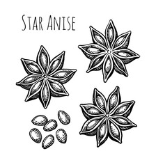 Canvas Print - star anise ink sketch.