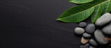 A tranquil, nature-inspired banner with empty space and minimalist design. Natural stones, green foliage, and pebbles create a zen-like atmosphere, perfect for relaxation, spa treatment. Generative AI