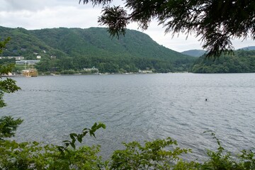 Wall Mural - Scenery of Lake Ashi in summer