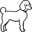 Minimalist, monochrome silhouette of a poodle, showcasing elegance and grace in a simple yet striking composition