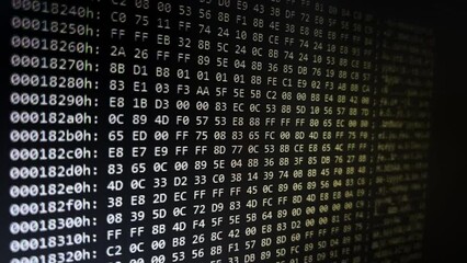 Wall Mural - system numbers code on black background