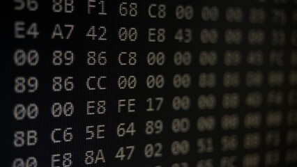 Wall Mural - binary program code on black background