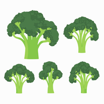 illustrations of broccoli used in healthy food and nutrition education materials